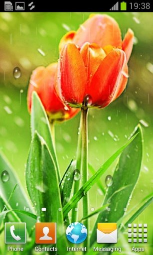 My Photo Rain live wallpaper截图2