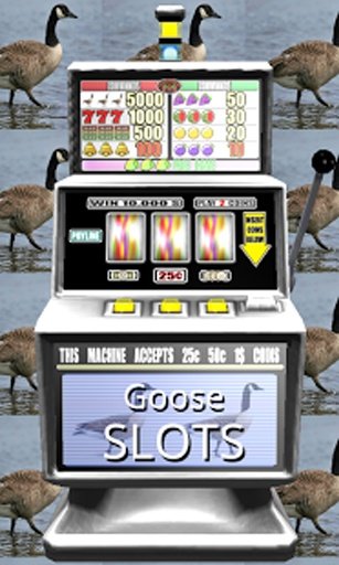 Goose Slots - Free截图2