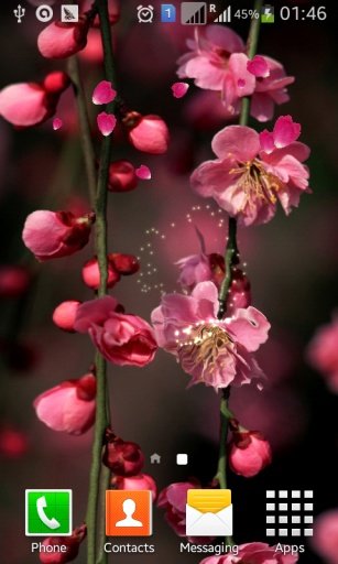 Sakura Blossom Live Wallpaper截图1