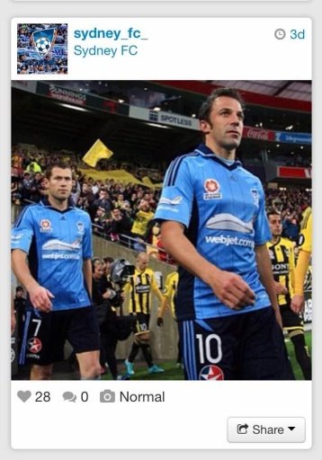 Sydney FC Fan截图2