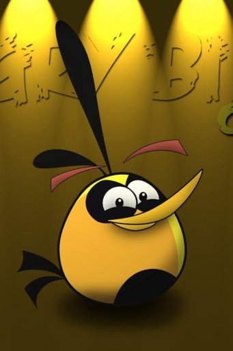 Funny Angry - Bird Wallpaper截图4