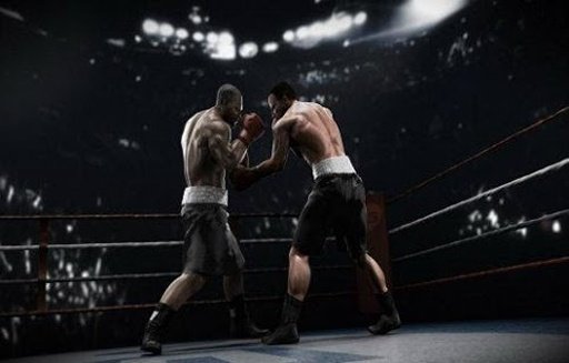 Boxing Game 2014截图1