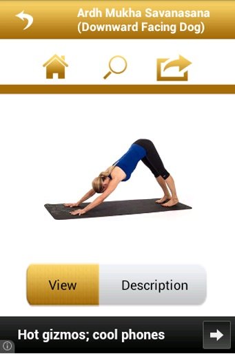 Free Yoga for Backache Relief截图1