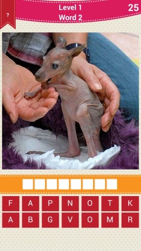 Animal Baby Quiz截图1