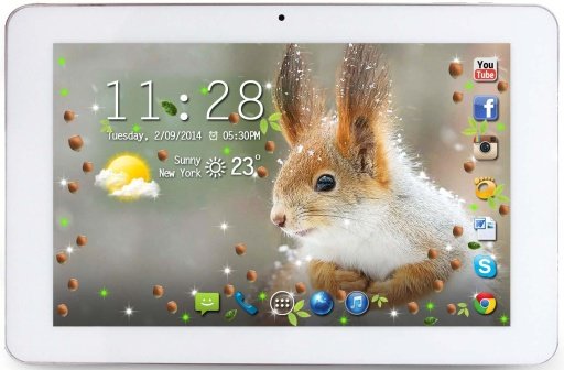 Squirrel Best live wallpaper截图4