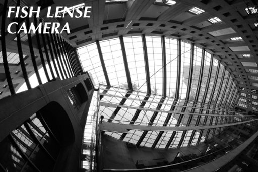 Fish Lense Camera截图1