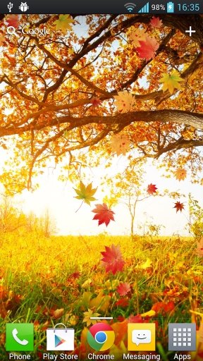 Maple Leaf Live Wallpaper截图2