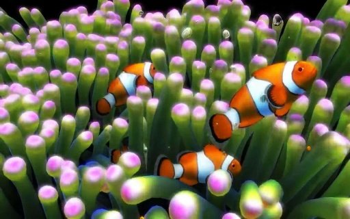 Aquarium 2 live wallpaper截图5