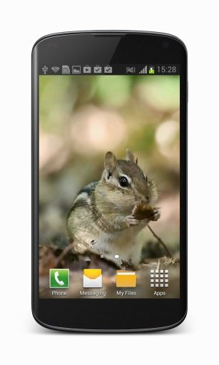 Chipmunk Video Wallpaper截图3