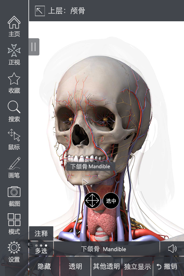 3DBody肌肉解剖截图2