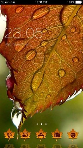 dew drops on leaves截图1