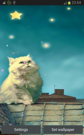 Xmas Free Cute Cat Wallpaper截图2