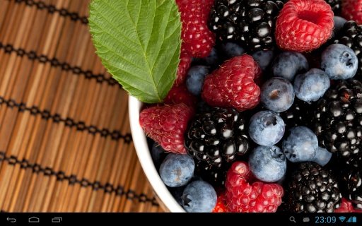 Wild berries live wallpaper截图6
