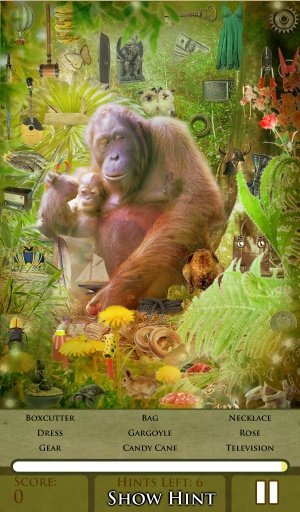 Hidden Object - Wildlife Free截图4