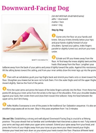 easy yoga poses截图2