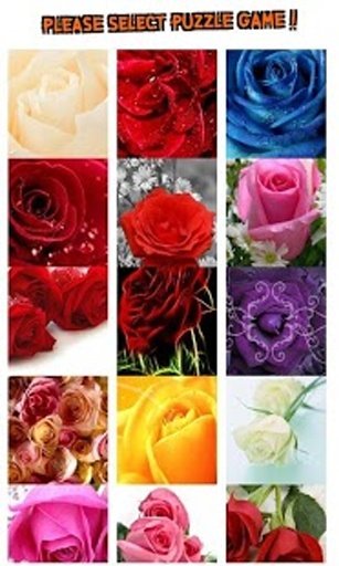 Roses Puzzle Games 2014.截图8