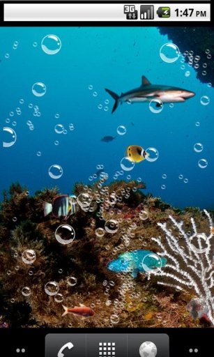 Nature underwater Wallpaper截图3