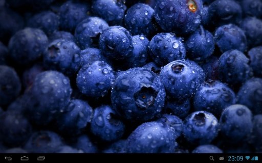 Wild berries live wallpaper截图1