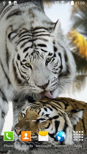 Tiger Live Wallpaper截图2