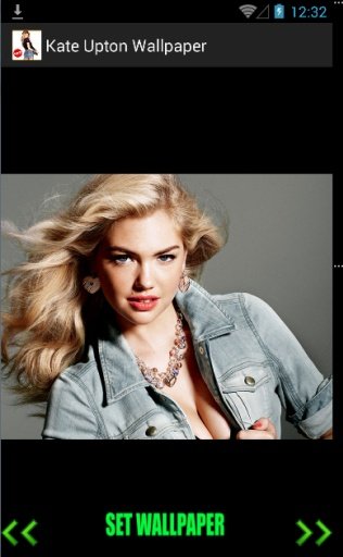 Kate Upton Wallpaper HD截图2