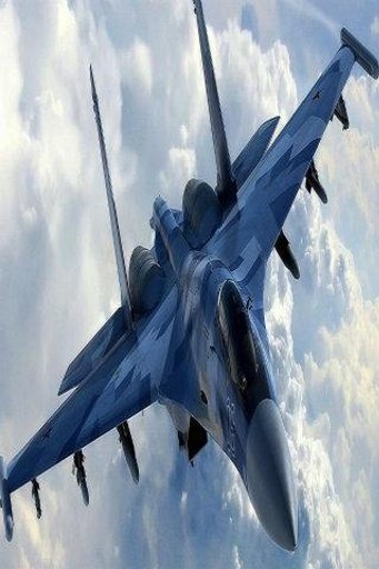 Jets Fighter Combat截图11