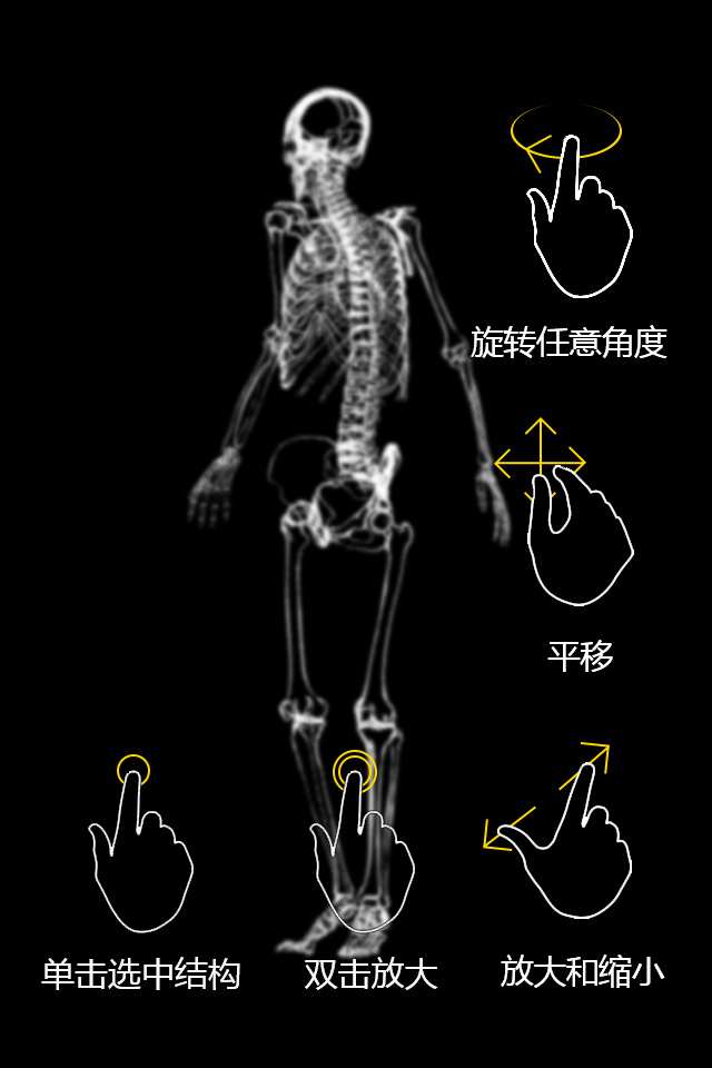 3DBody肌肉解剖截图4