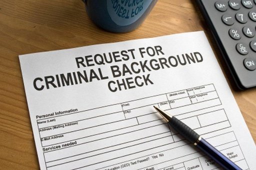 Criminal Background Check Mobile截图1