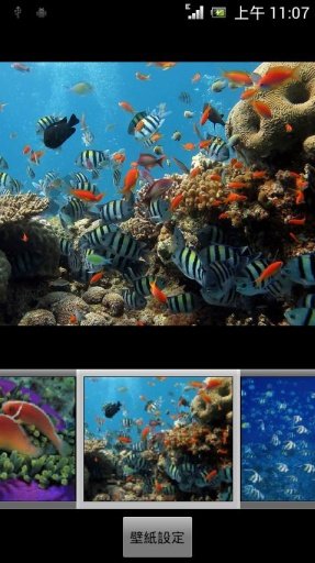 Aquarium Themes截图4