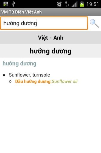 VM Từ Điển Việt Anh截图1