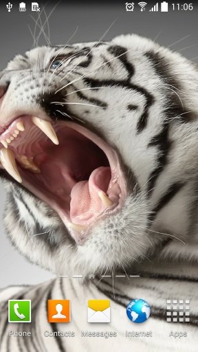 Tiger Live Wallpaper截图4