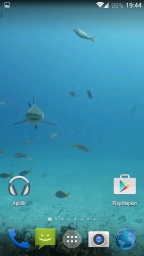 Sharks. Video Wallpaper截图6