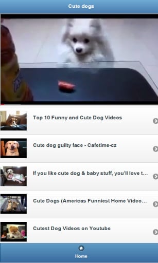 Watch Cute Dog Videos截图1