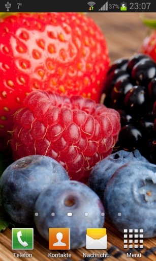 Wild berries live wallpaper截图5