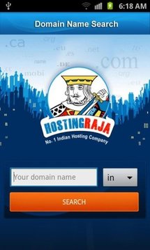 Domain Name Search Tool截图