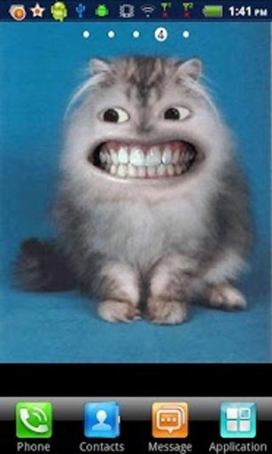 Laughing Cat LWP截图1