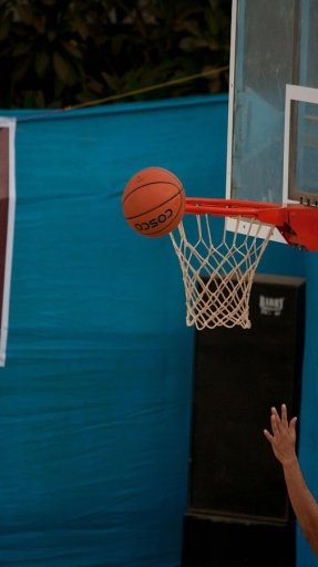 Free Basketball Throw截图3