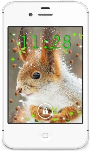 Squirrel Best live wallpaper截图1