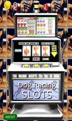 3D Dog Racing Slots - Free截图1