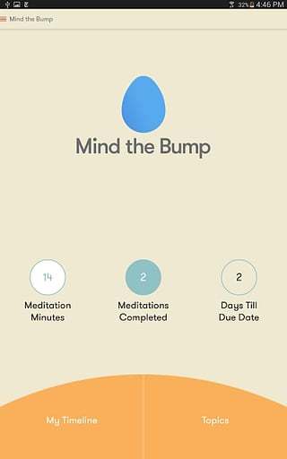 Mind the Bump截图5