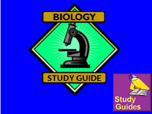 Biology Study Guide截图4