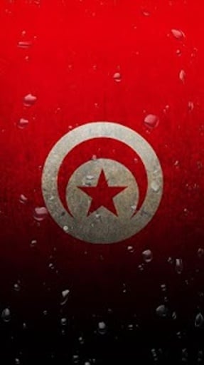Tunisia flag water effect LWP截图1