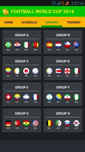 Football World Cup Live Score截图4