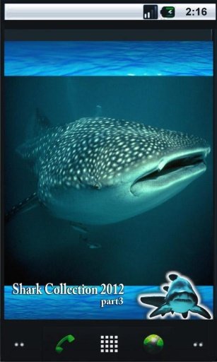 Shark Danger 3D Live Wallpaper截图2