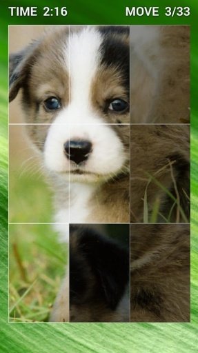 Cute Puppy Puzzle截图2