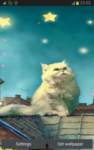 Xmas Free Cute Cat Wallpaper截图1
