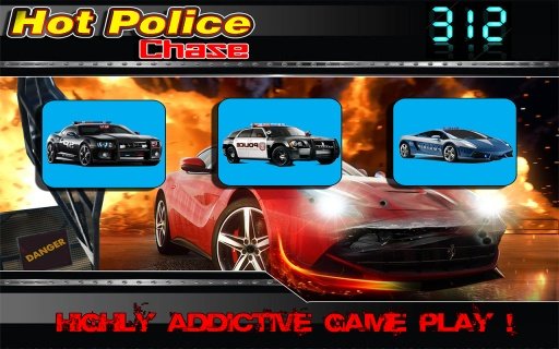 Hot Police Chase截图3