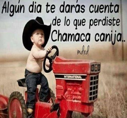 Imagenes Chistosas Frases 2截图3