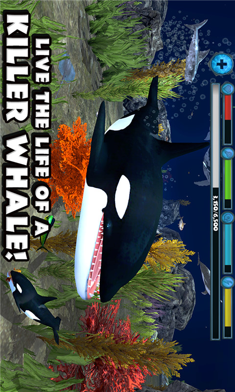 鲸鱼模拟器截图1