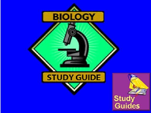 Biology Study Guide截图2