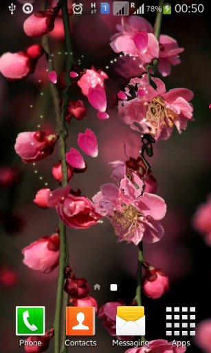 Sakura Blossom Live Wallpaper截图2